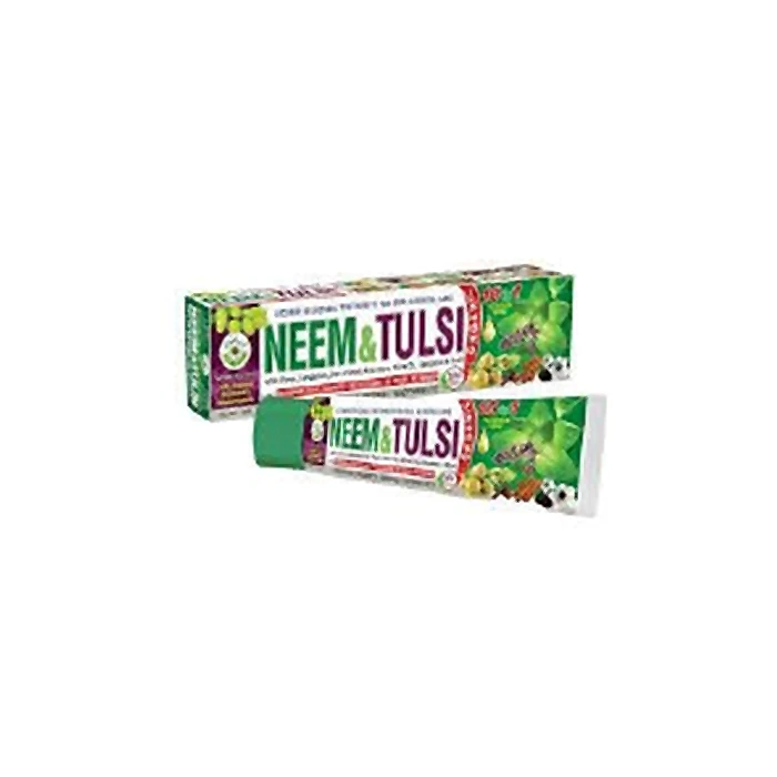 AL-RIYAN AL-RIYAN NEEM & TULSI TOOTHPASTE 213GM CASE 12PK